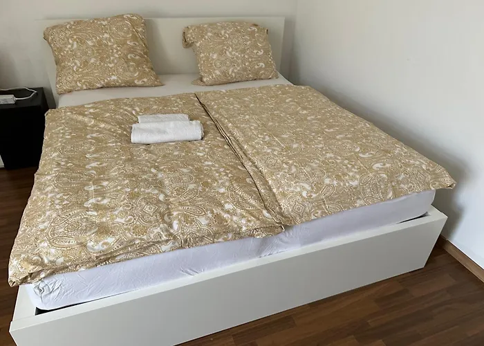 Schoene 2 Zi Whg Mg Altstadt